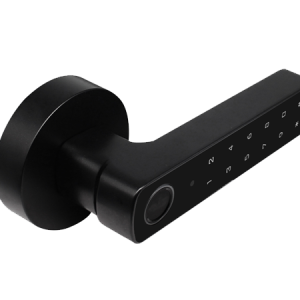 Bluetooth Wireless Fingerprint PIN Smart Lock